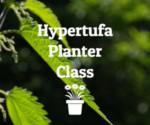 Hypertufa Planter Class